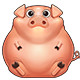 pig80